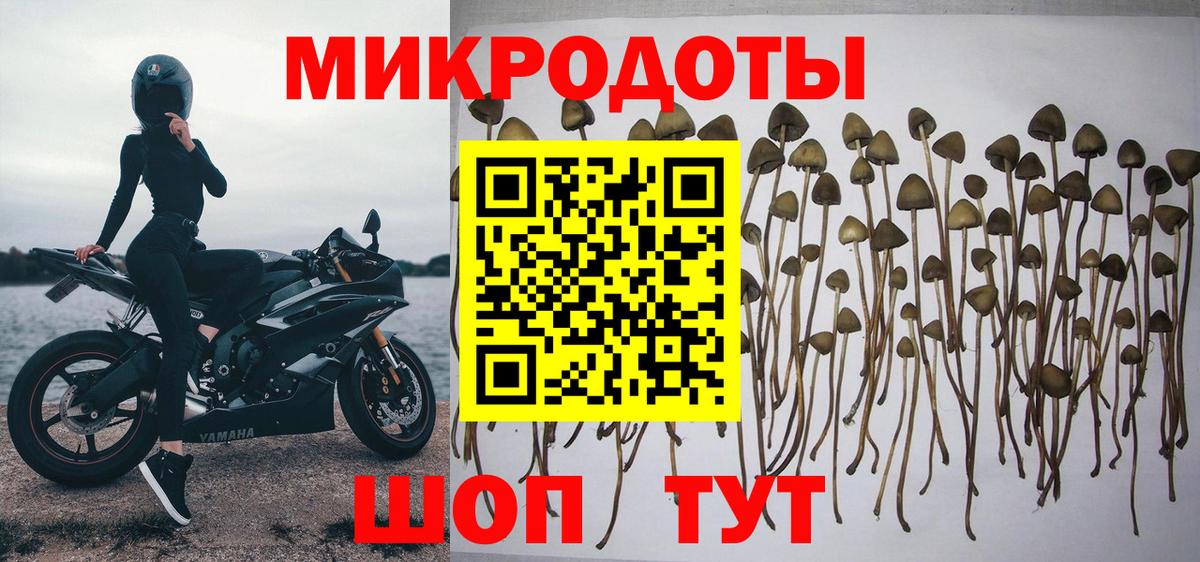 Нарткала  Метамфетамин  COCAIN  Гашиш  МЕФ   Марихуана  Вход с VPN  ГАШИШ  Экстази 