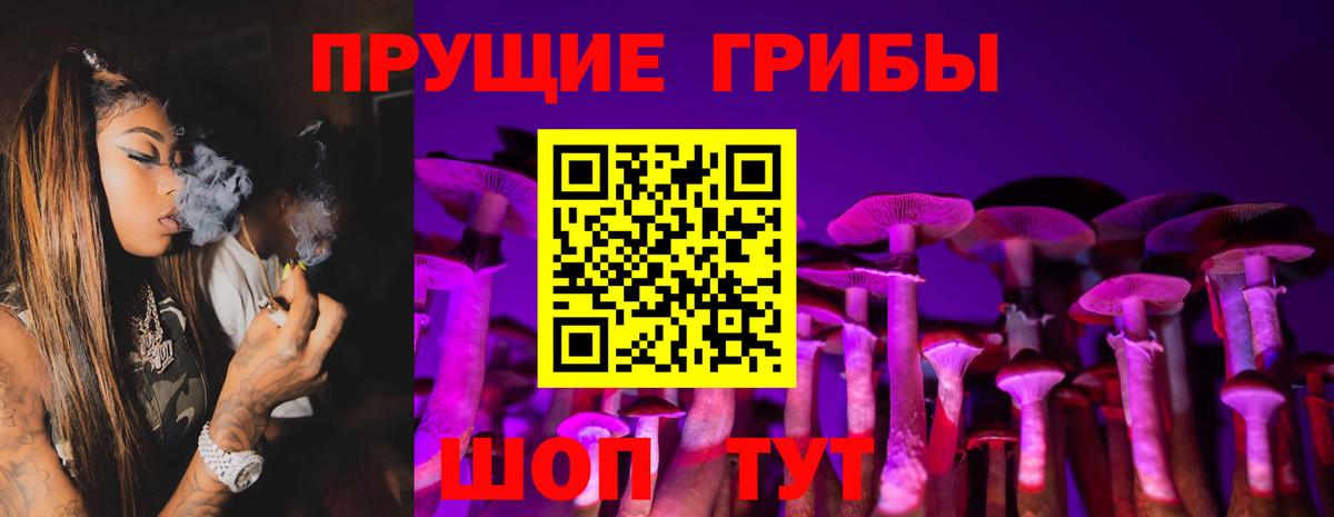 Псилоцибиновые грибы Psilocybine cubensis Нарткала