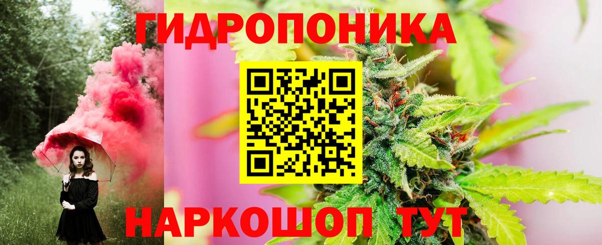 Канабис тримм  Каннабис планчик  Вход с VPN  МАРИХУАНА конопля  Нарткала 